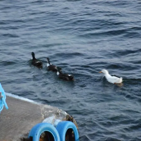 Dom wakacyjny Sunset Boathouse Klima (Milos)