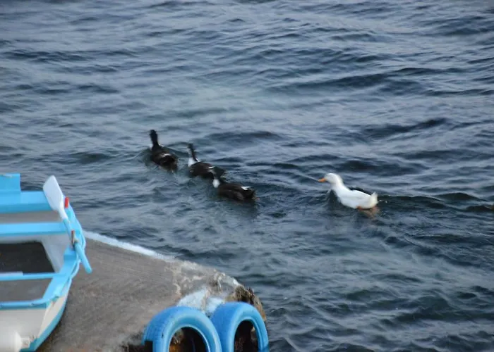 Dom wakacyjny Sunset Boathouse Klima (Milos)